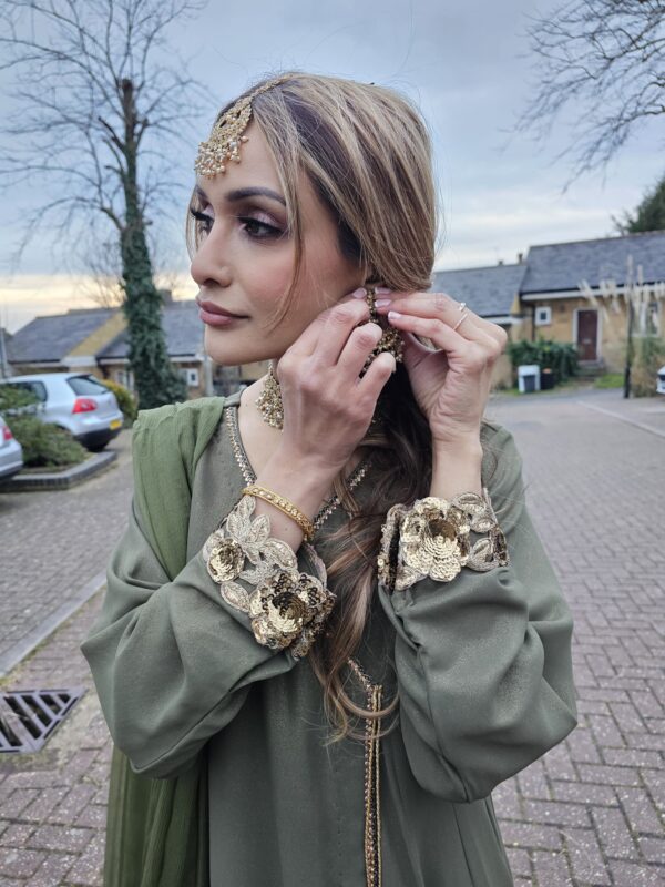 Elegant Pakistani party wear dress