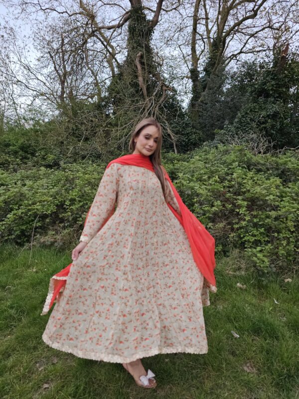 Embroidered chiffon party dress from Pakistani collection